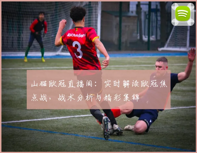 山猫欧冠直播间：实时解读欧冠焦点战，战术分析与精彩集锦