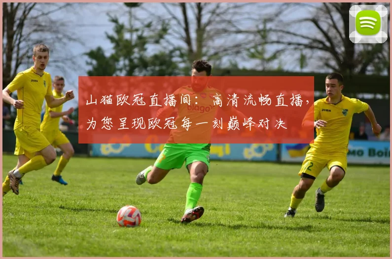 山猫欧冠直播间：高清流畅直播，为您呈现欧冠每一刻巅峰对决