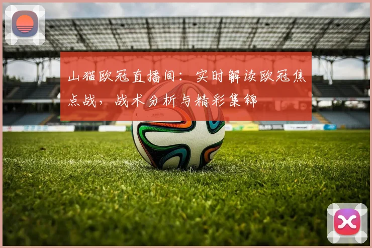 山猫欧冠直播间：实时解读欧冠焦点战，战术分析与精彩集锦