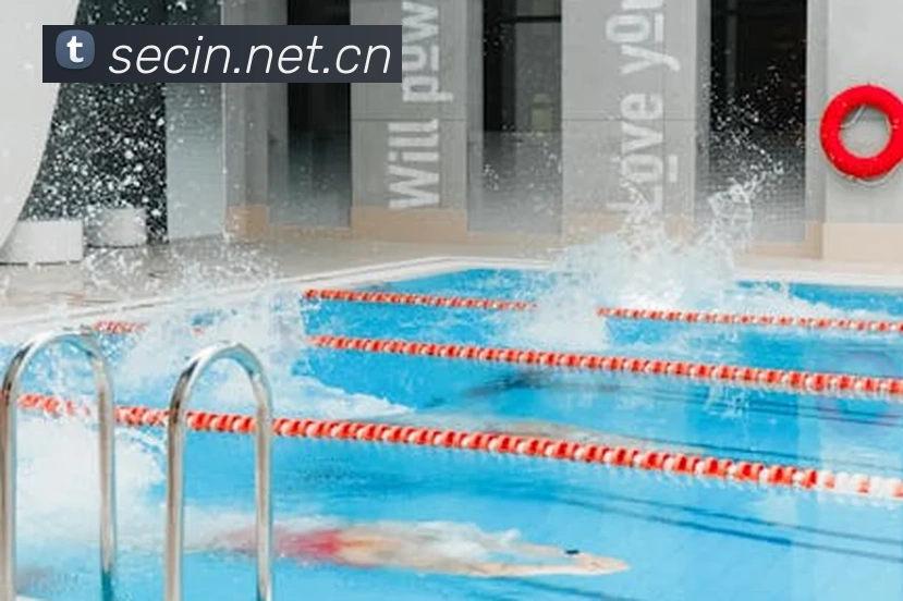 多媒体互动体验